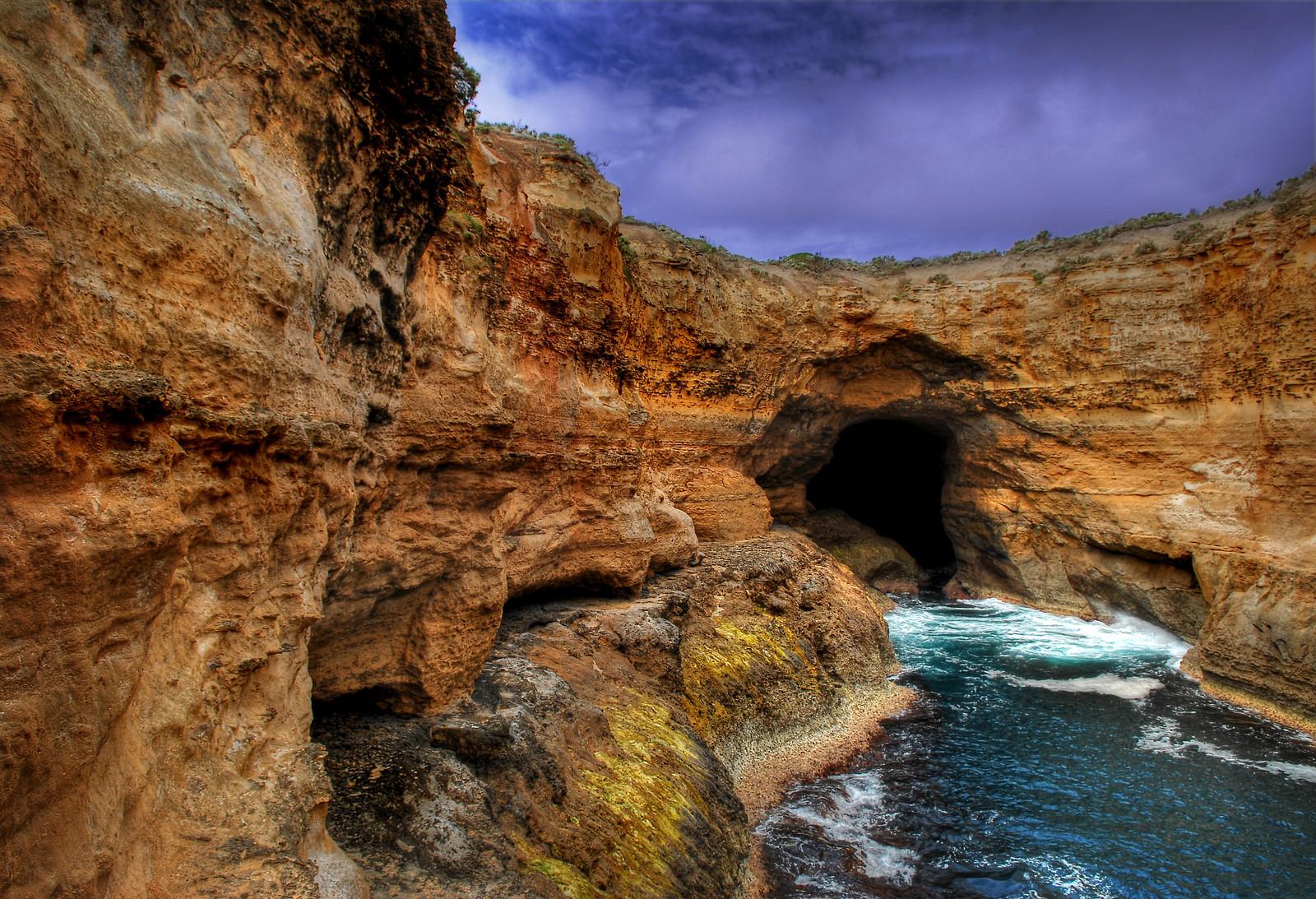 Best Nature Walks Near Melbourne: 5 Top Parks