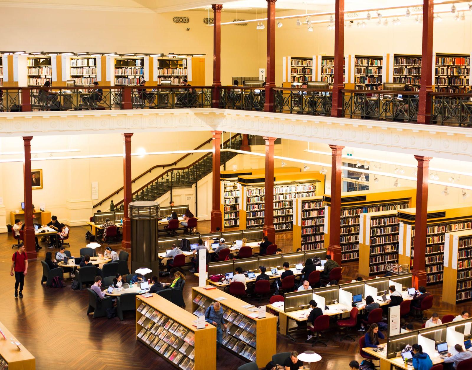 People at a Library